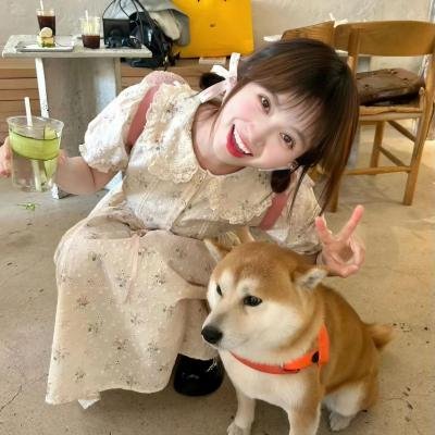 农家宝 海报