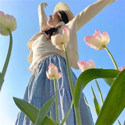 人生闹剧 海报