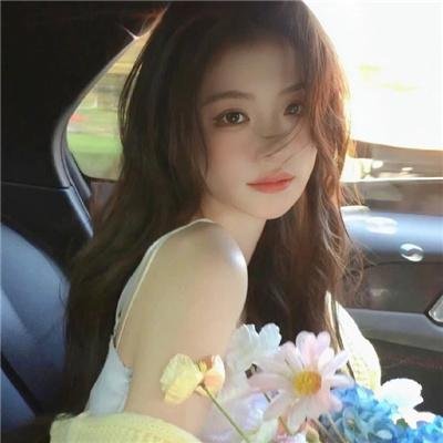 阿尔巴特罗斯 海报
