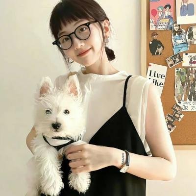 2024青春芒果节 海报